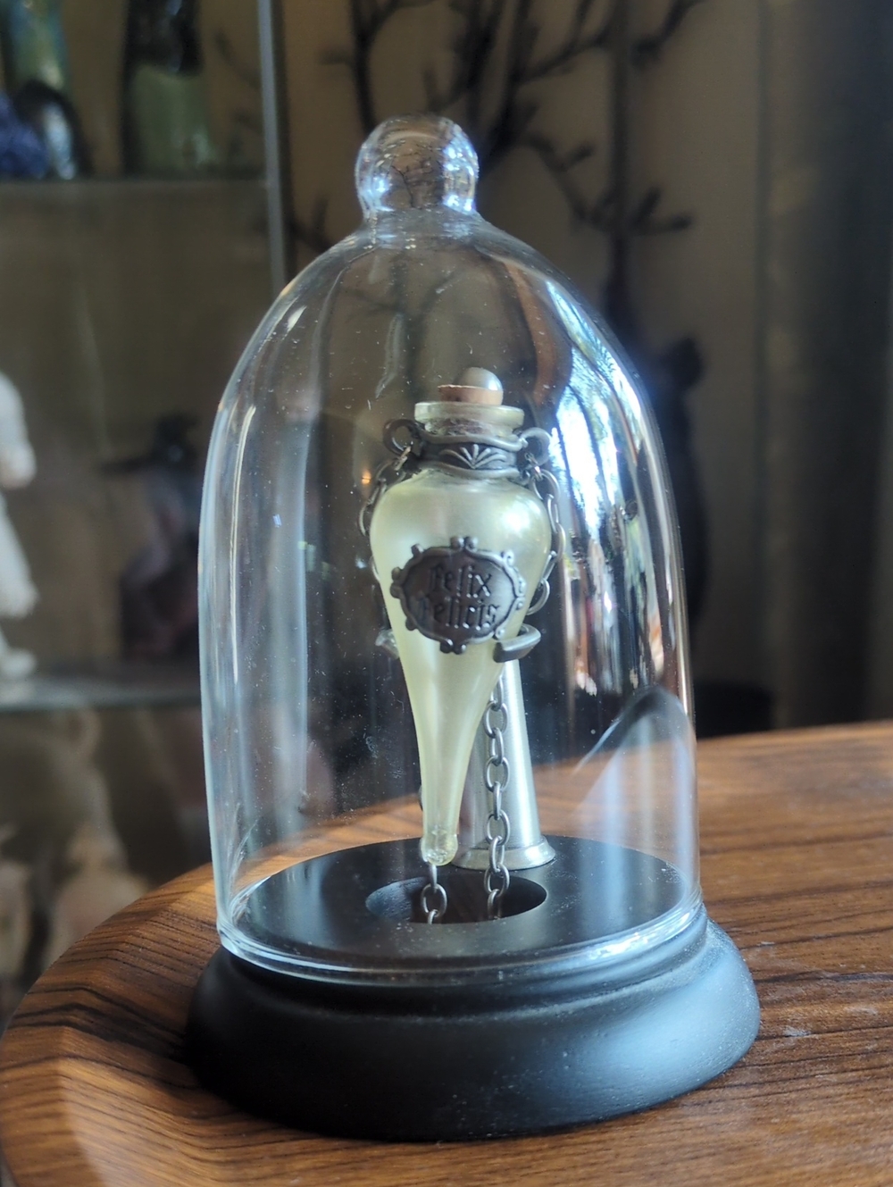 Felix Felicis Glass Cloche Display - Harry Potter